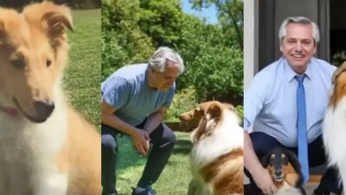 Dylan, el perro de Alberto Fernández, cumplió años y el presidente lo celebró por las redes sociales