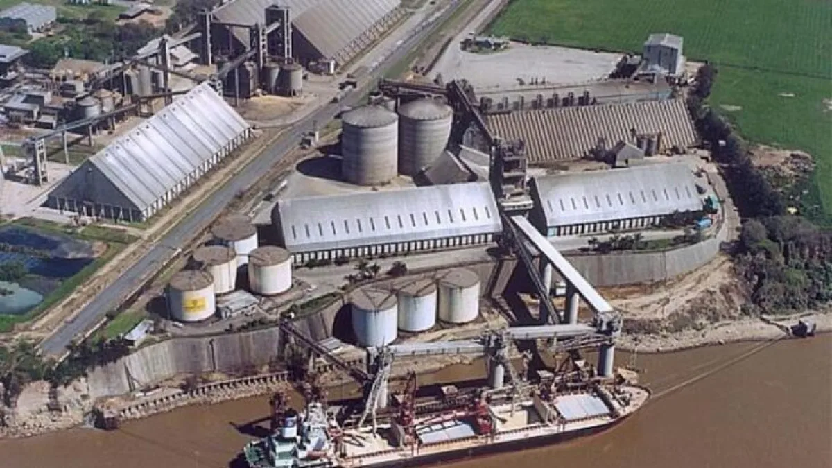 El Gobierno anunció la expropiación de la cerealera Vicentin