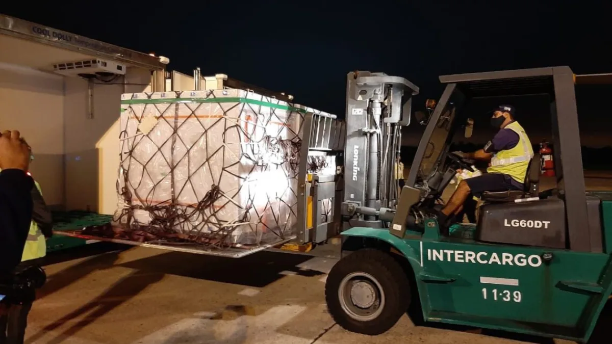 Llegaron al país las 580 mil dosis de vacunas desarrolladas por Oxford-AstraZeneca provenientes de la India