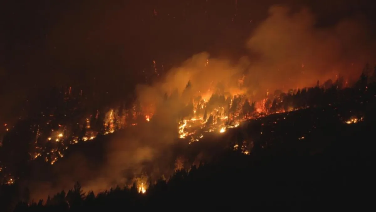 Incendios devastadores afectan a Río Negro y Chubut