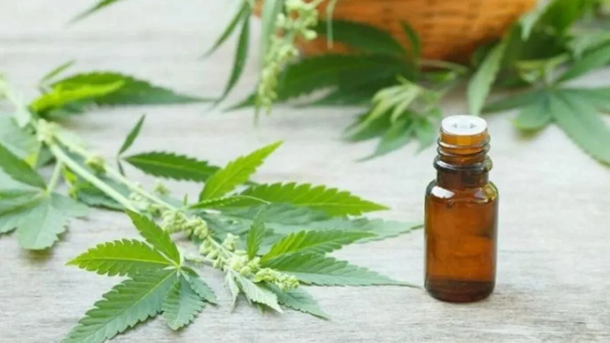 La Legislatura aprobó la adhesión a la ley de cannabis medicinal