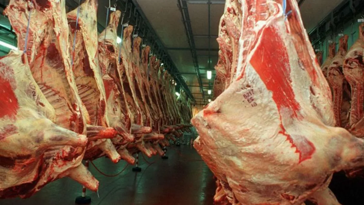 Reabrirán en forma parcial las exportaciones de carne