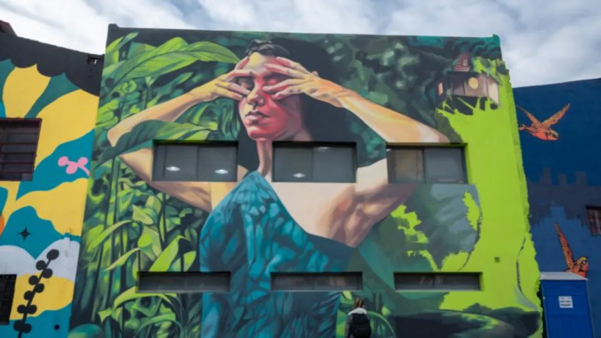 Arte Urbano: la ciudad sumó 136 murales de artistas locales y de otras localidades
