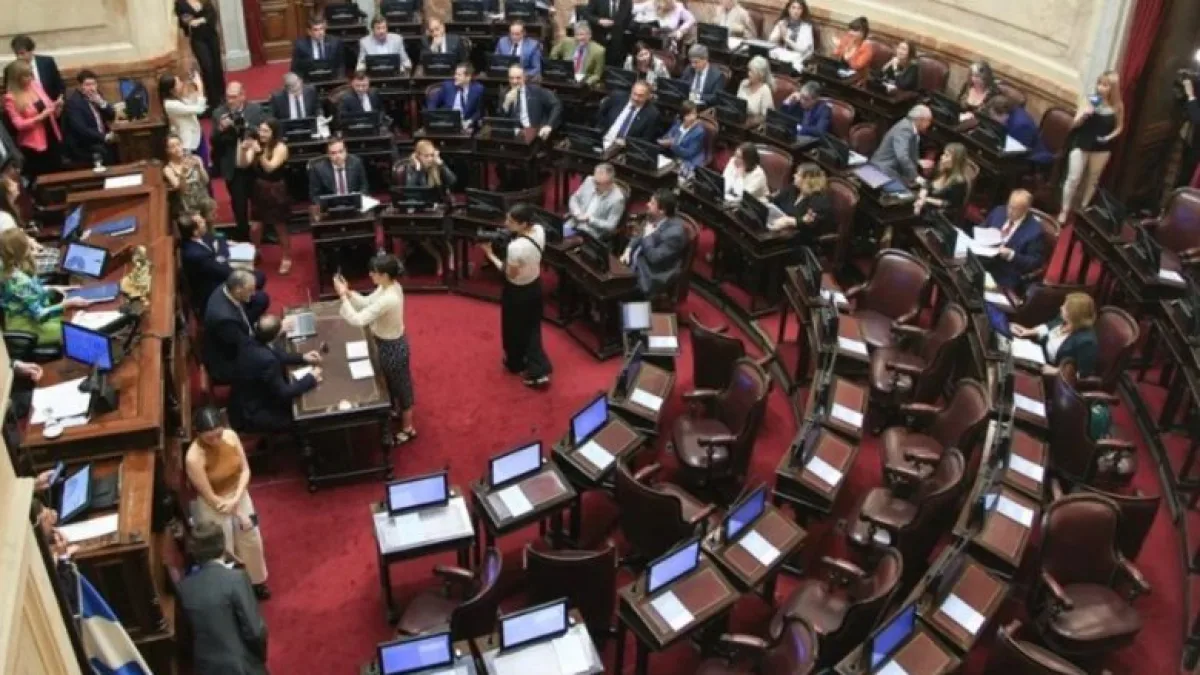 El Senado nacional aprobó el Presupuesto 2023