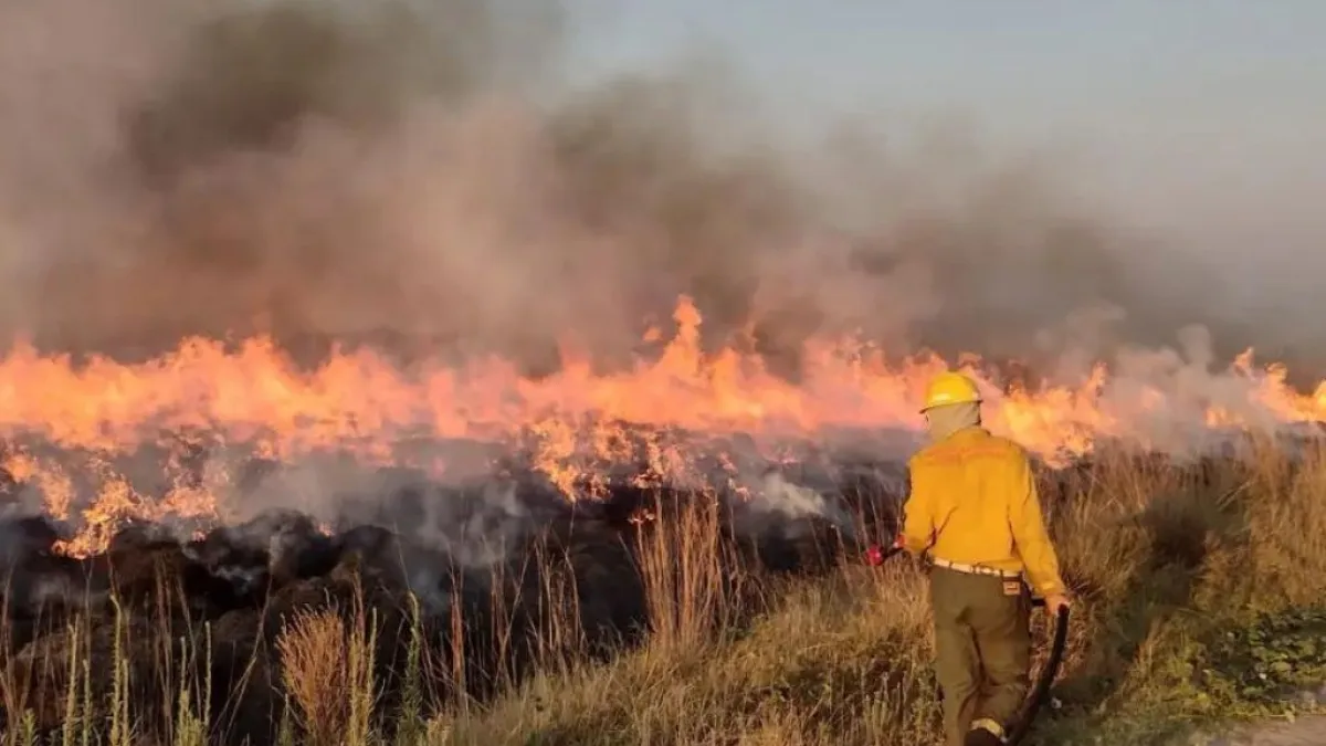 Un incendio en los Esteros del Iberá lleva 55 días activo y ya arrasó con 5 mil hectáreas