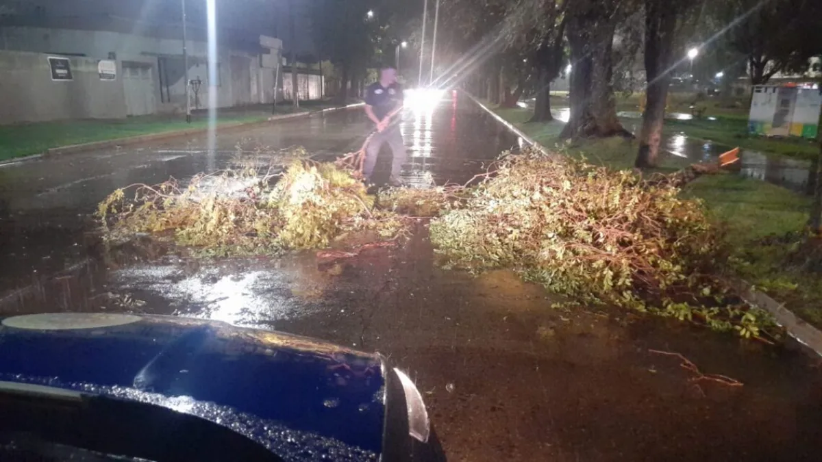 Relevan daños tras la tormenta en el departamento Río Cuarto