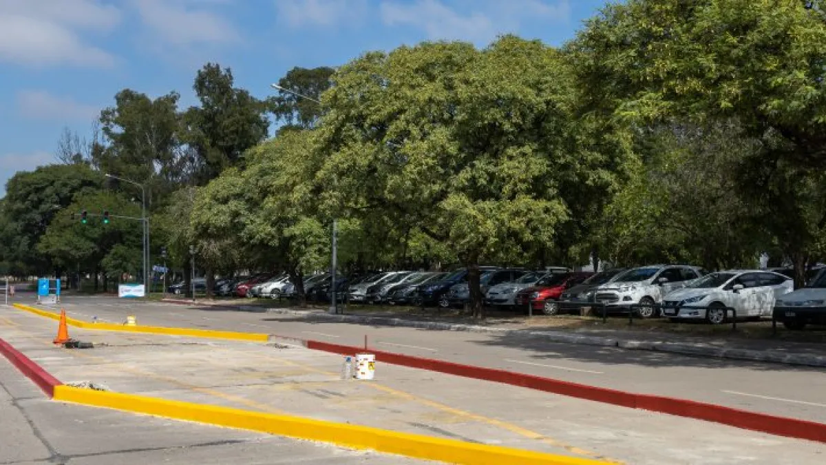 El cantero central de Avenida Nores Martínez llega a su tramo final de construcción