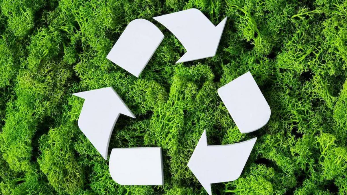 17 de mayo: Día Mundial del Reciclaje