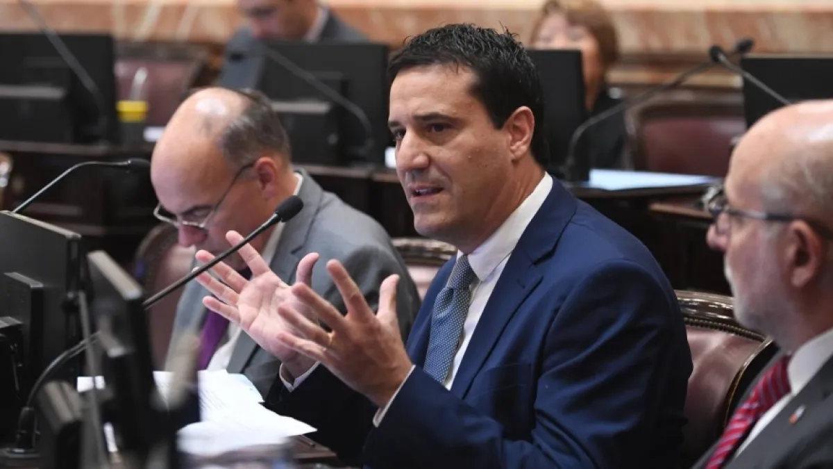 Ley Bases: un senador de la UCR anticipó al Gobierno que no logrará dictamen esta semana