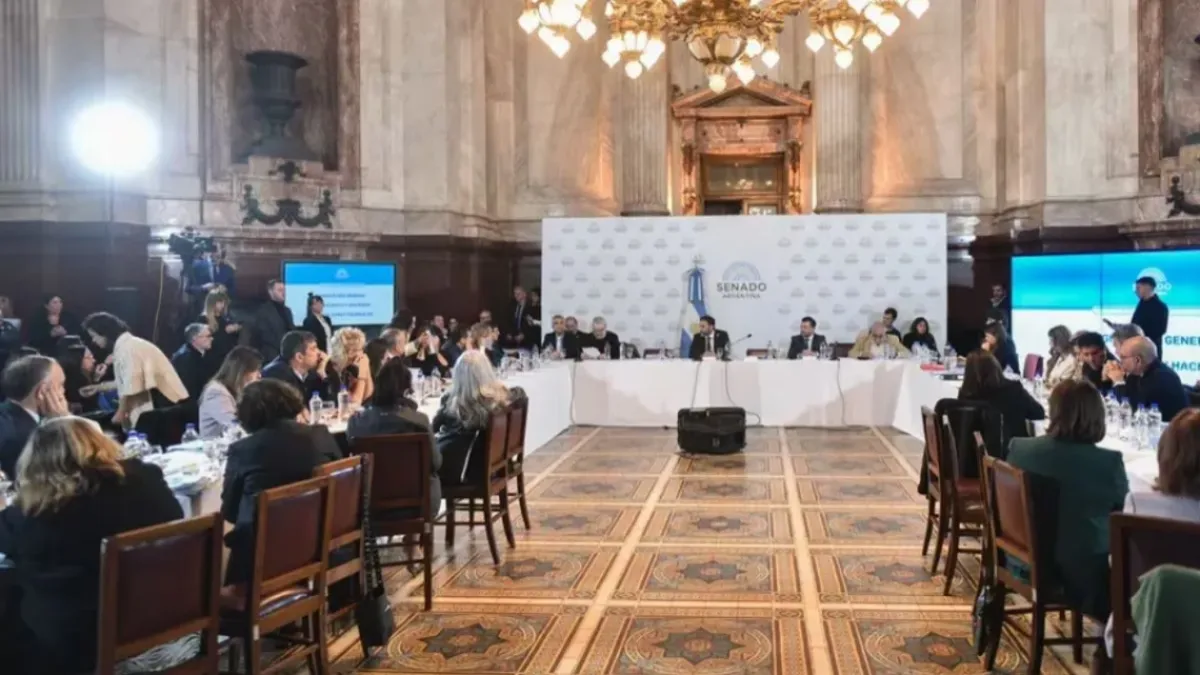Ley Bases: hubo dictamen en el Senado