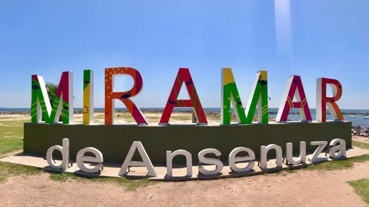 Rumbo a la creación de la Bandera Oficial de Miramar de Ansenuza