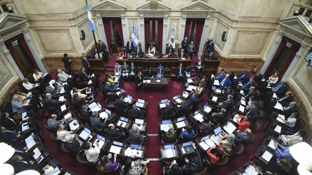 Ya se debate la Ley Bases y el paquete fiscal en el Senado