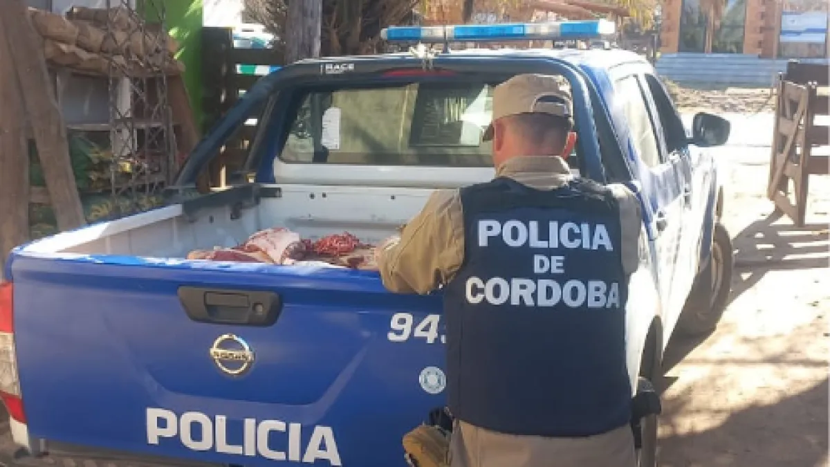Decomisaron 1500 kilos de carne en Villa Amancay y se efectuaron clausuras