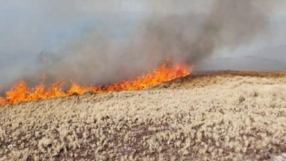 Continúa grave la situación en el valle de Traslasierra por el fuego
