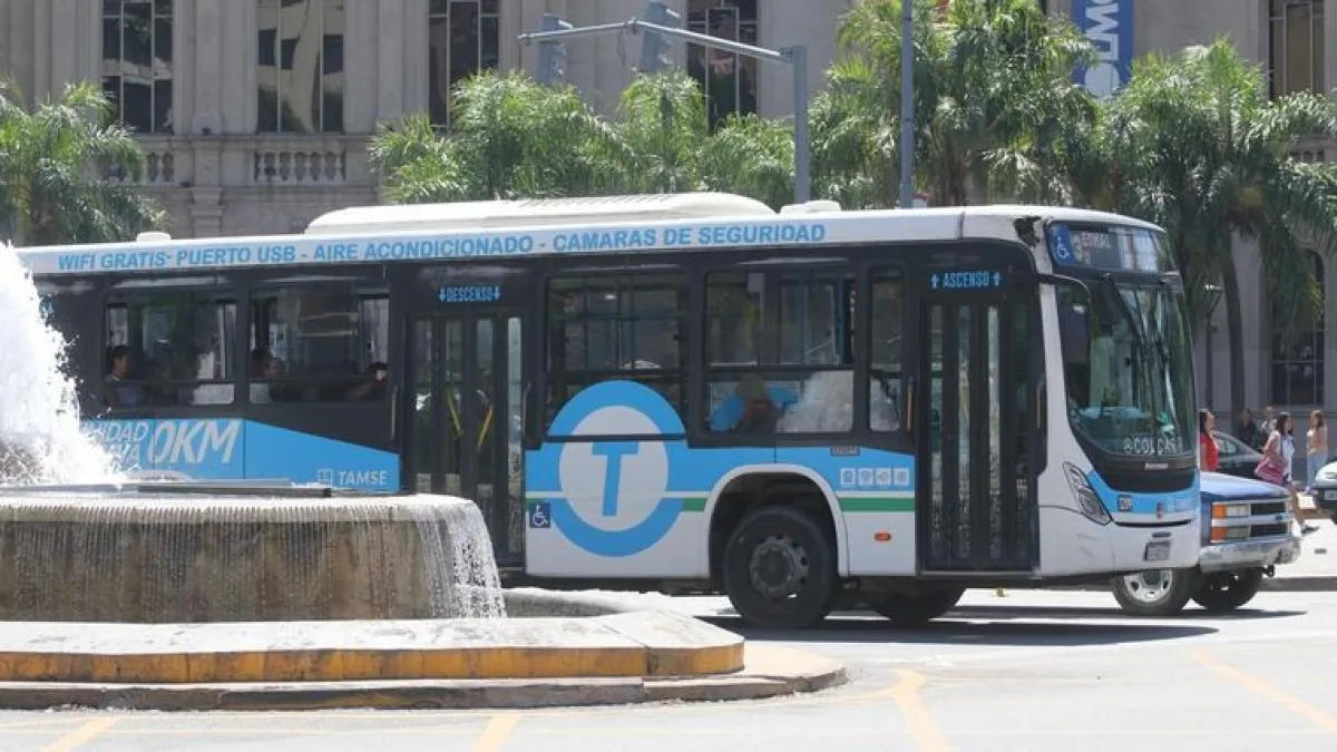Tamse incorpora nuevas unidades para reforzar las líneas 20, 27 y 75