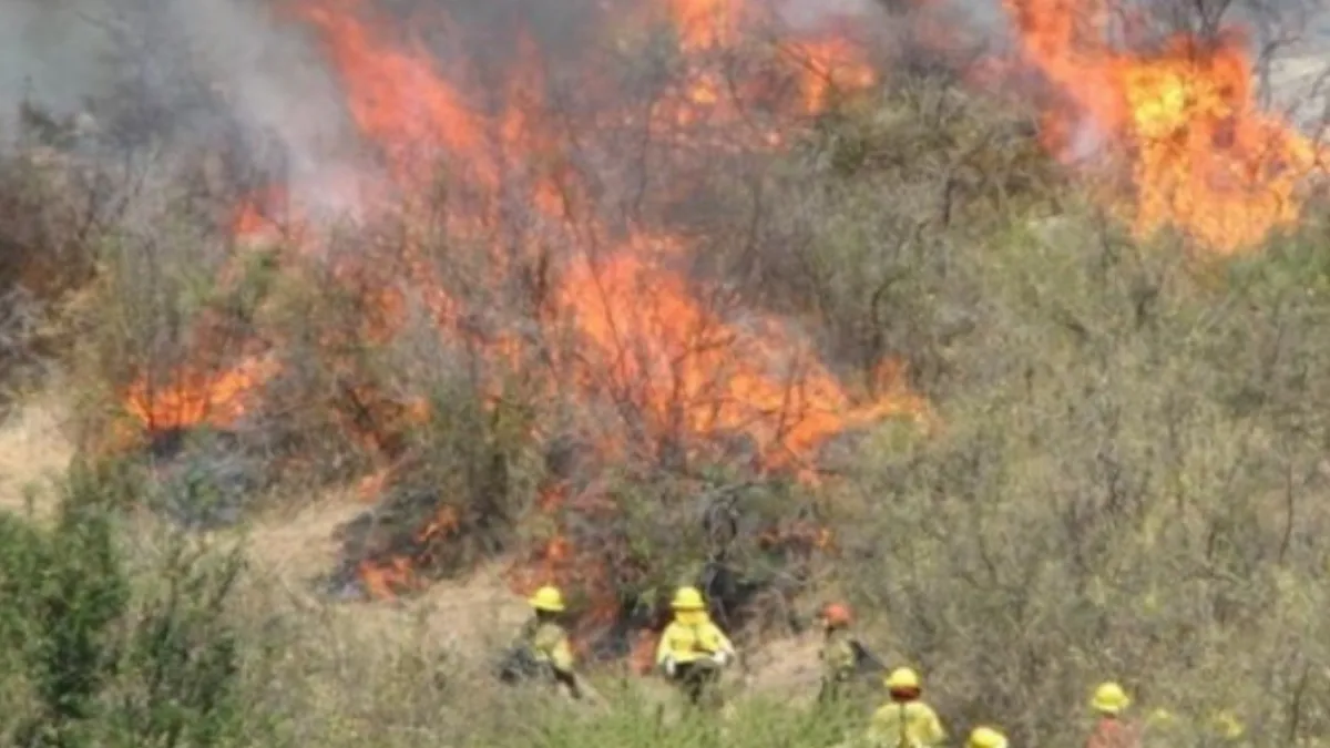 Condenaron a un hombre por originar un incendio forestal en Córdoba