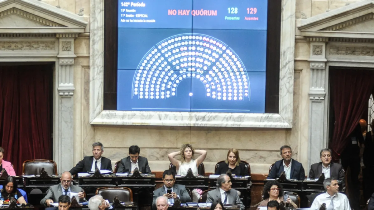 Ficha Limpia: fracasó la sesión para debatir el proyecto