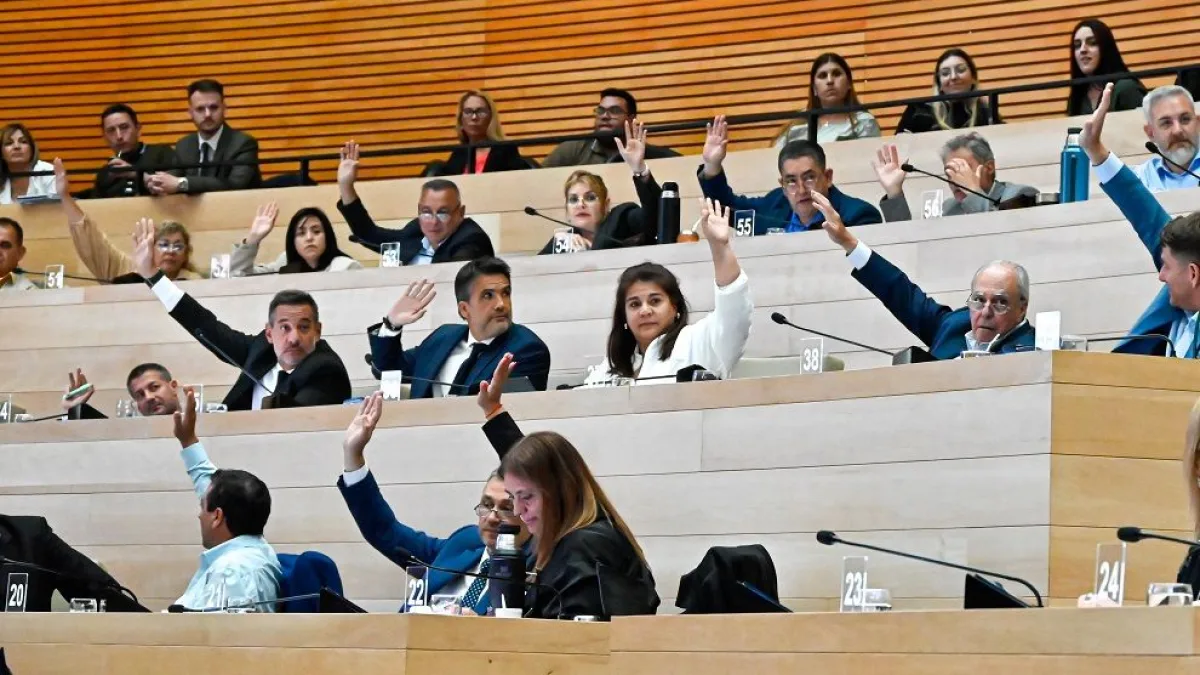 La Unicameral aprobó el proyecto de "Alfabetización financiera" en escuelas