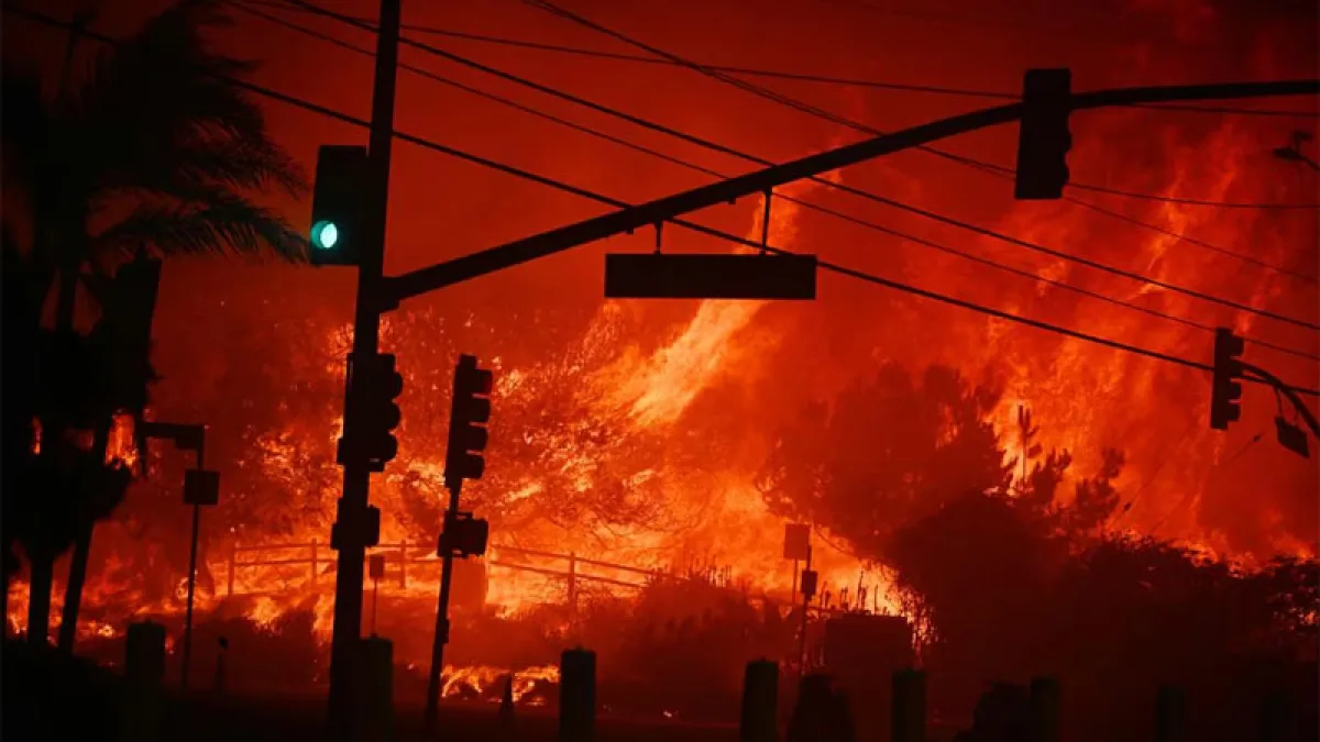 Fuego en California: Biden declaró zona catastrófica