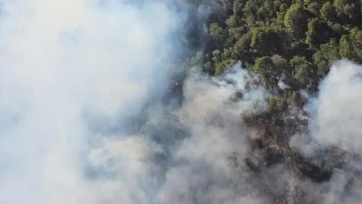El incendio en el Parque Nacional Nahuel Huapi ya consumió 3.500 hectáreas