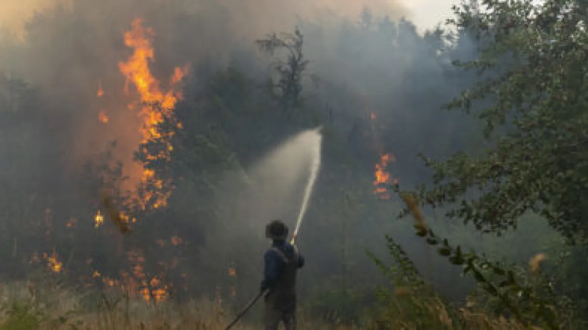 Incendios en el país: más de 250 mil hectáreas en Corrientes y sigue el fuego en El Bolsón y Nahuel Huapi