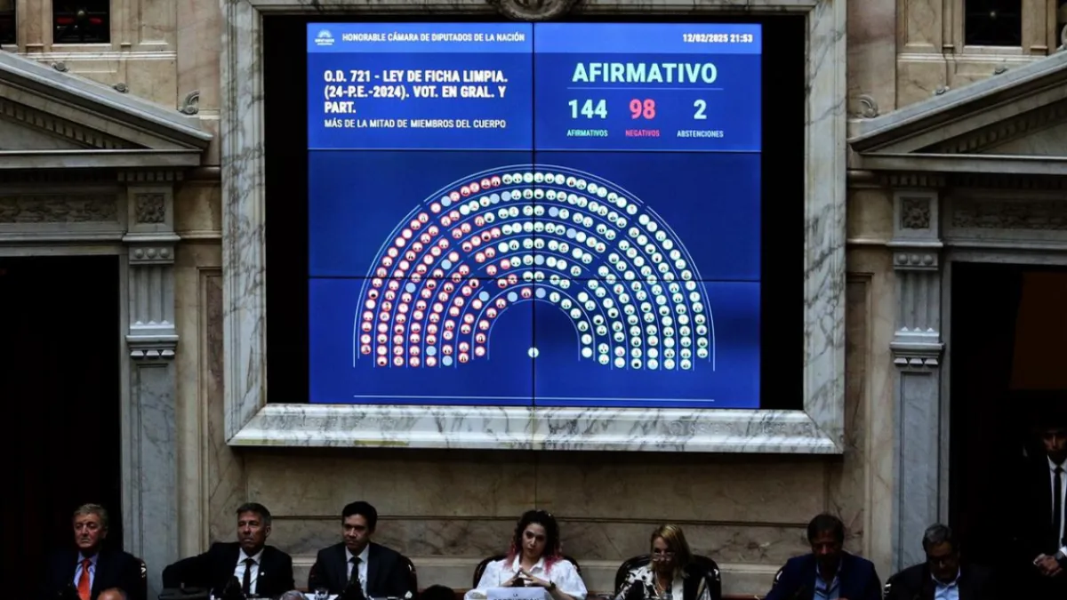 Ficha Limpia obtuvo media sanción en Diputados