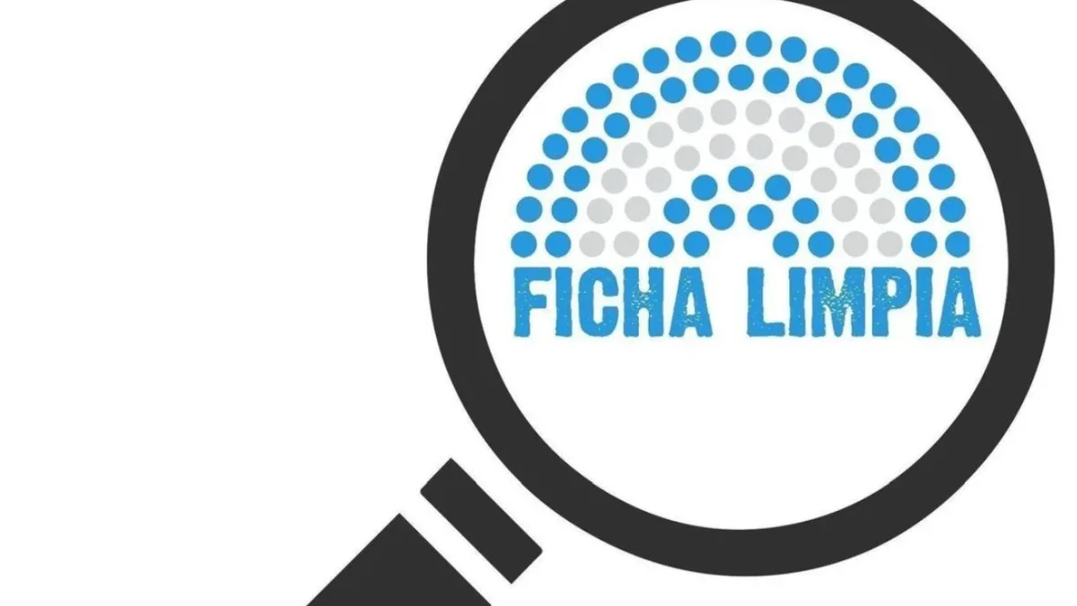 El Senado debate el proyecto de Ficha Limpia en comisión