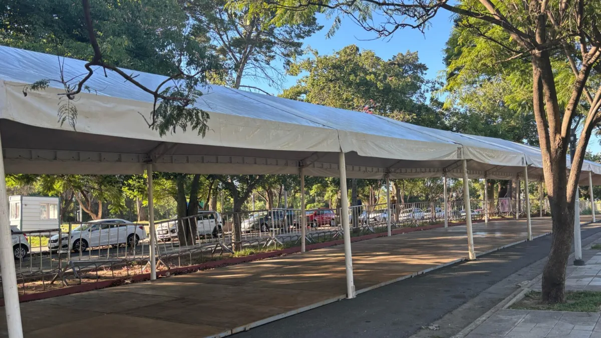 Córdoba se prepara para celebrar el Año Nuevo Chino