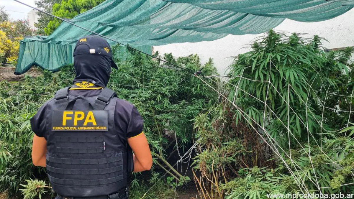 La FPA desarticuló un punto de venta de drogas y secuestró más de 7000 dosis de estupefacientes en Villa María