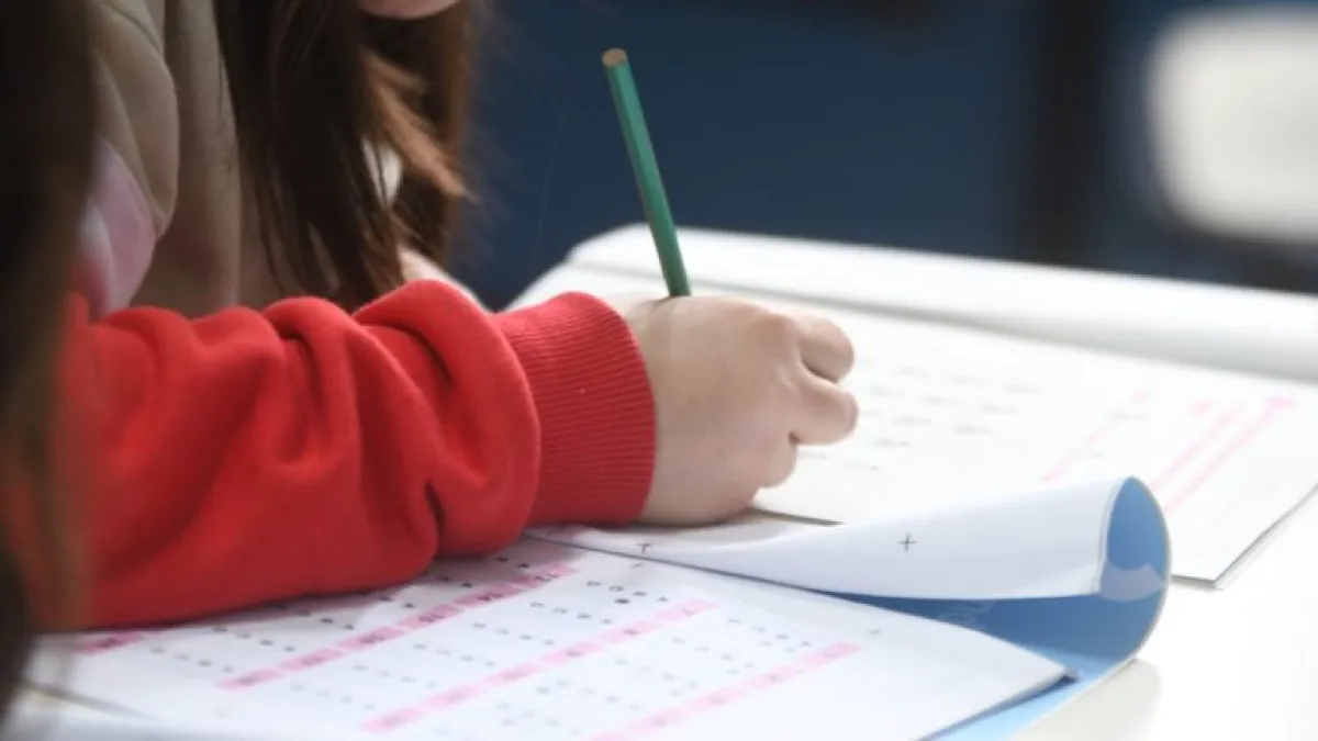 Pruebas Aprender: solo el 45% de los alumnos de tercer grado logra el nivel esperado de lectura