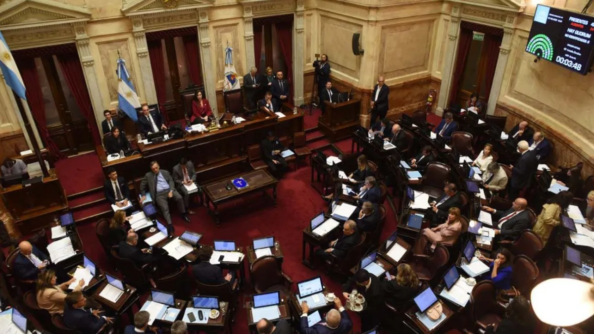 El Senado rechazó el proyecto de ficha limpia
