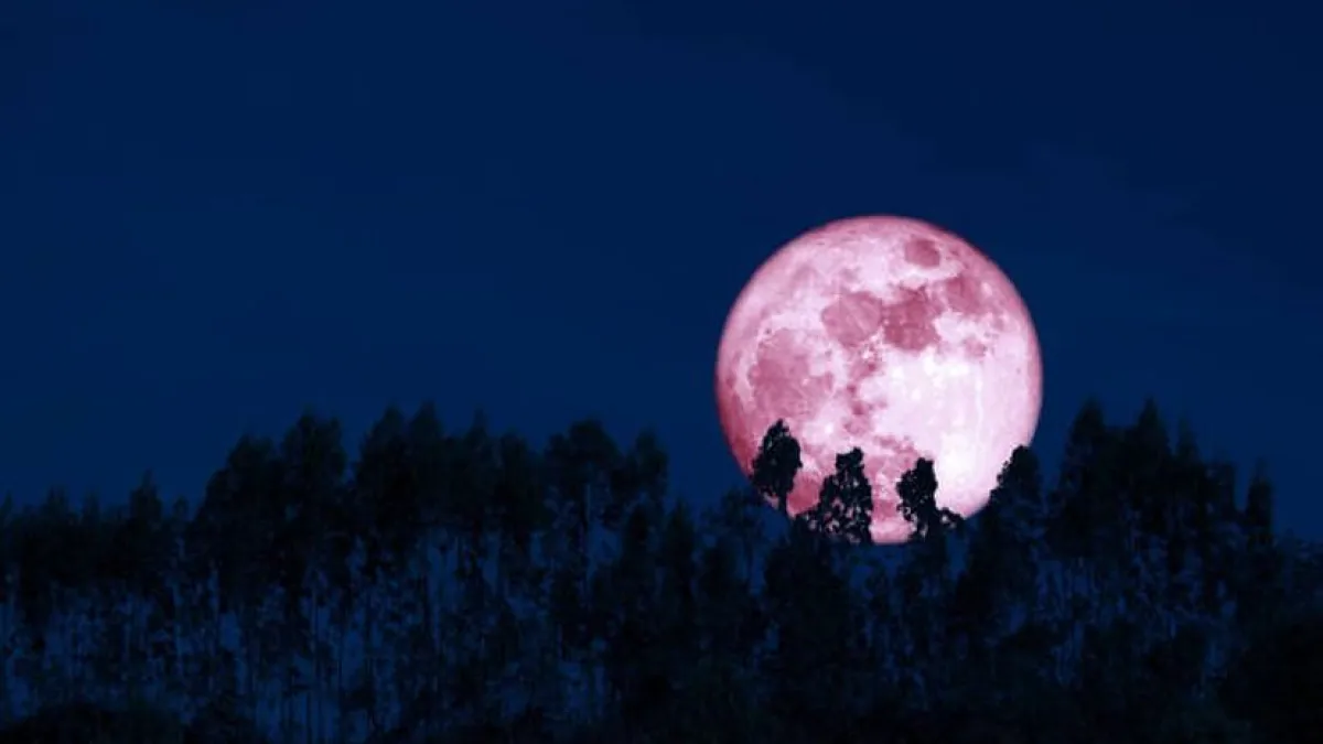 Luna de Fresa 2025: en qué horario podrá verse en Argentina