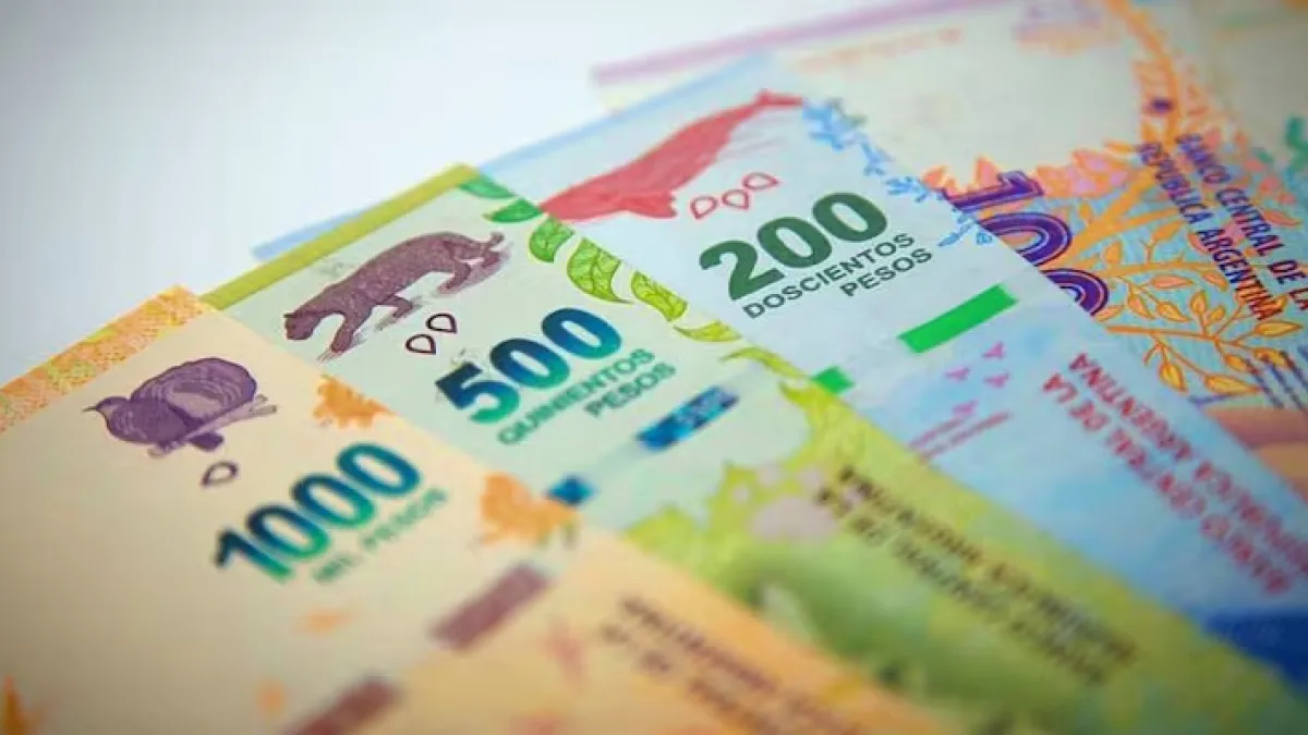 Presentaron un proyecto para reemplazar el peso por el "Argentum"