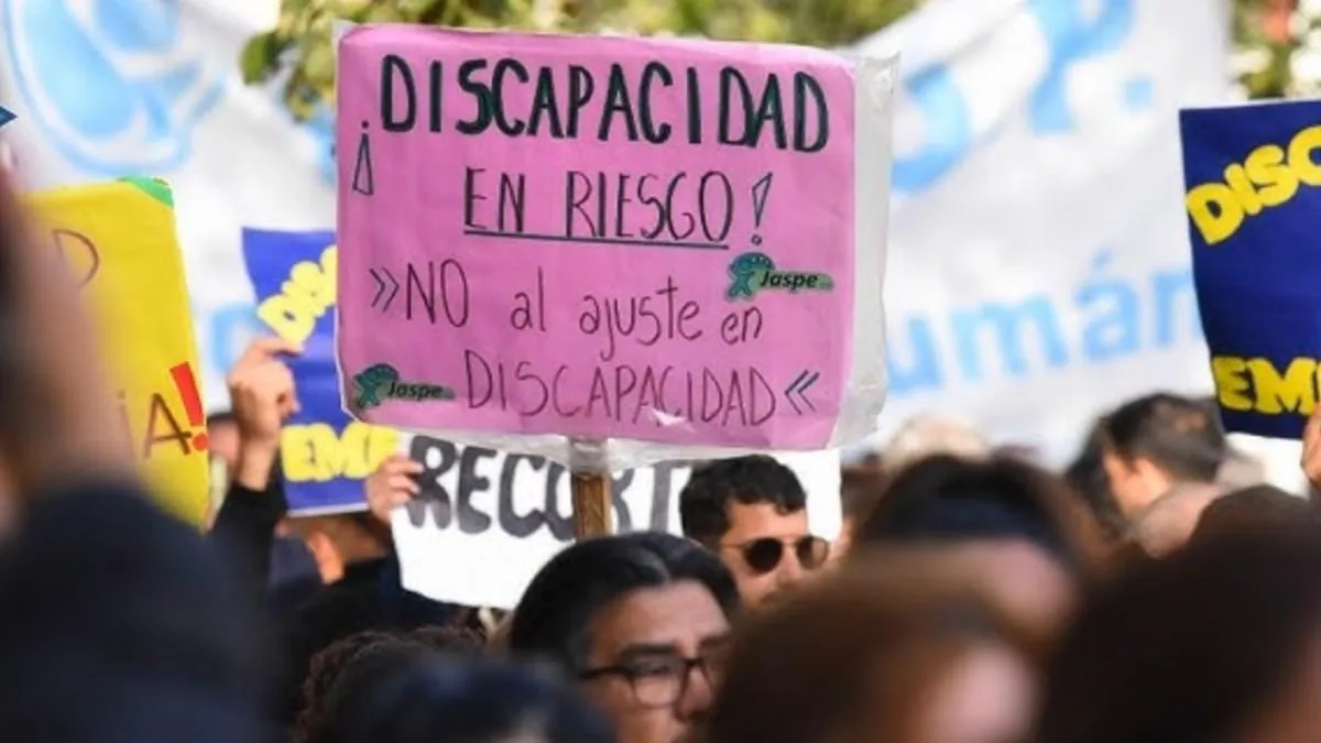 El Senado convirtió en ley la Emergencia en Discapacidad