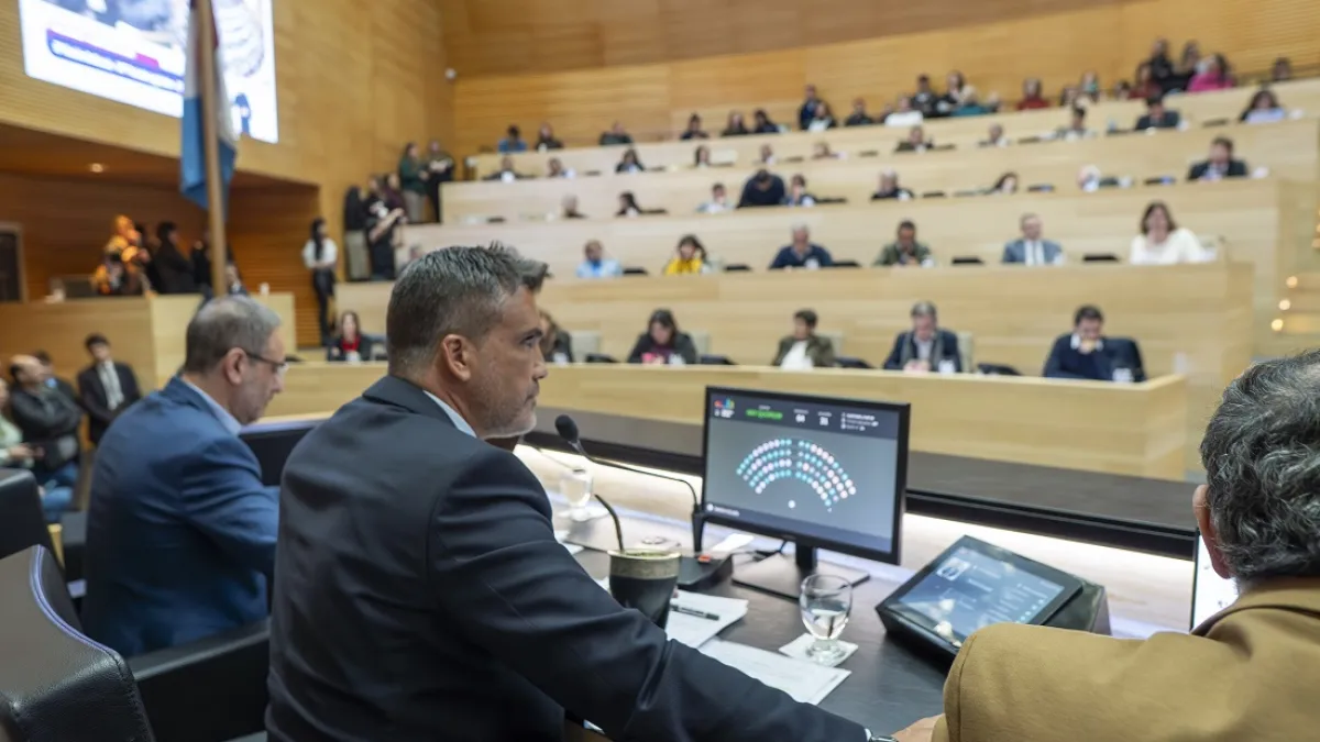 La Legislatura aprobó la creación del Colegio Profesional de Psicomotricidad