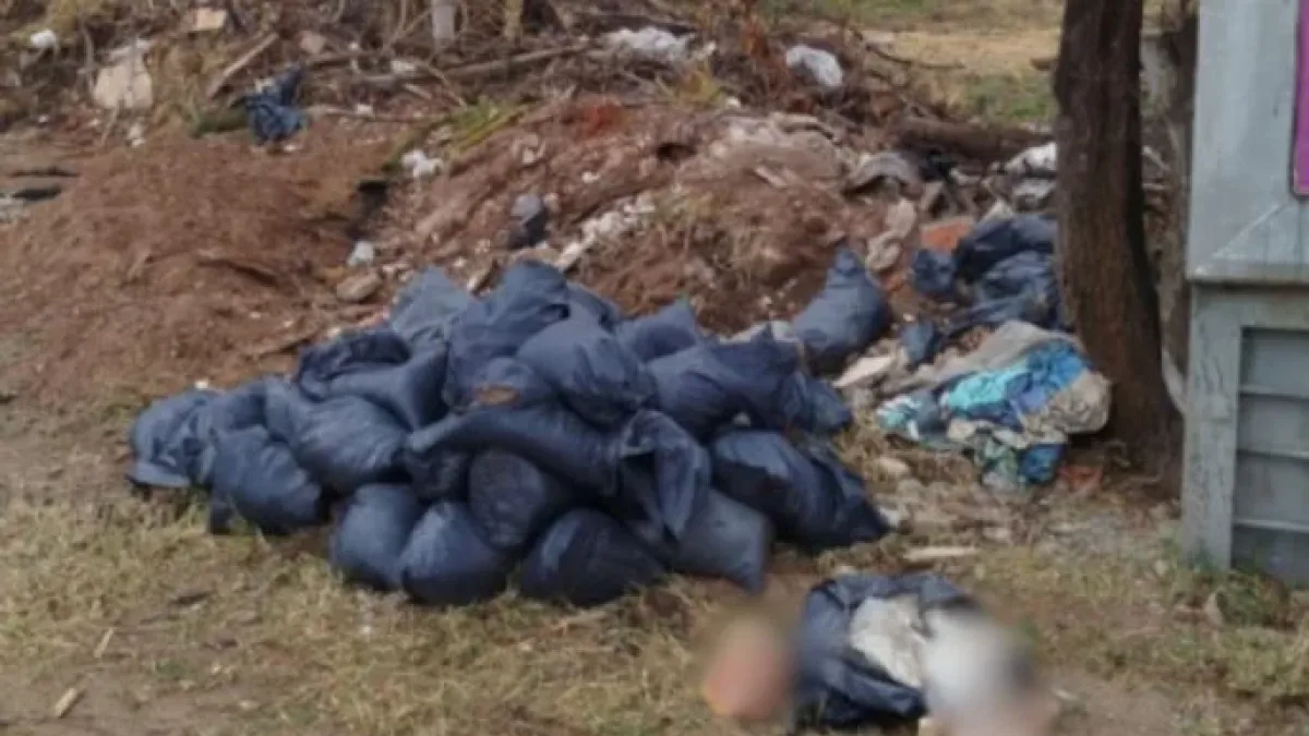 Encontraron restos humanos en un descampado cerca del Chateau