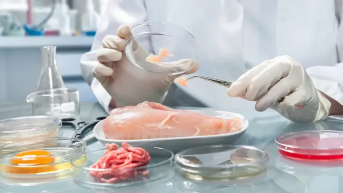 Disuelven la Comisión Nacional de Alimentos