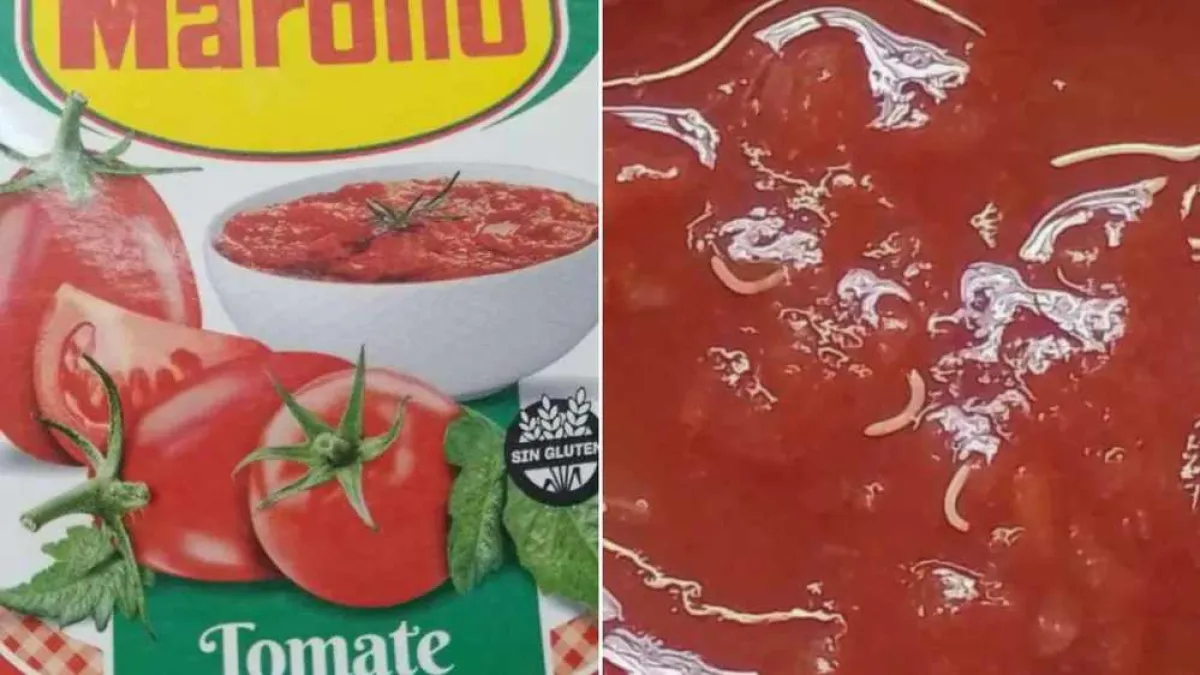 Tomate Marolio: cuál es el lote afectado y cómo reconocer el envase para no consumirlo