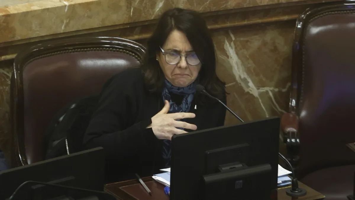 Polémica frase de una senadora: "No creo que los niños tengan derecho a ser curados en el Garrahan"