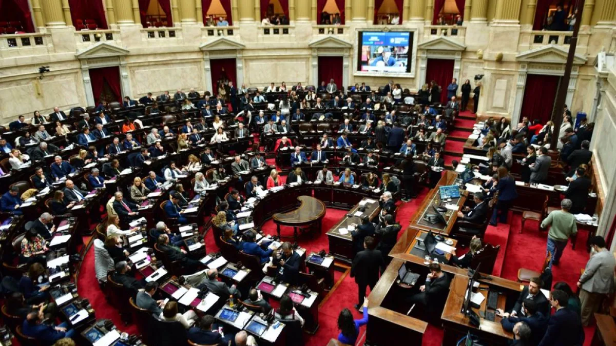 Diputados rechazó el veto a la ley que declara la emergencia en discapacidad
