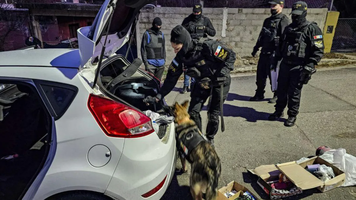 Detuvieron a nueve personas que integraban una banda narco