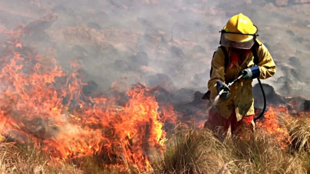 Bomberos contuvieron incendios en Cañada del Rosario, Ruta 36 y Achiras