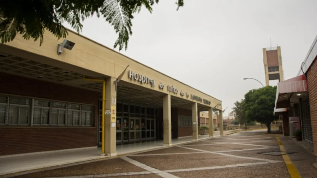 Una mujer detenida por atacar el ingreso del Hospital de Niños