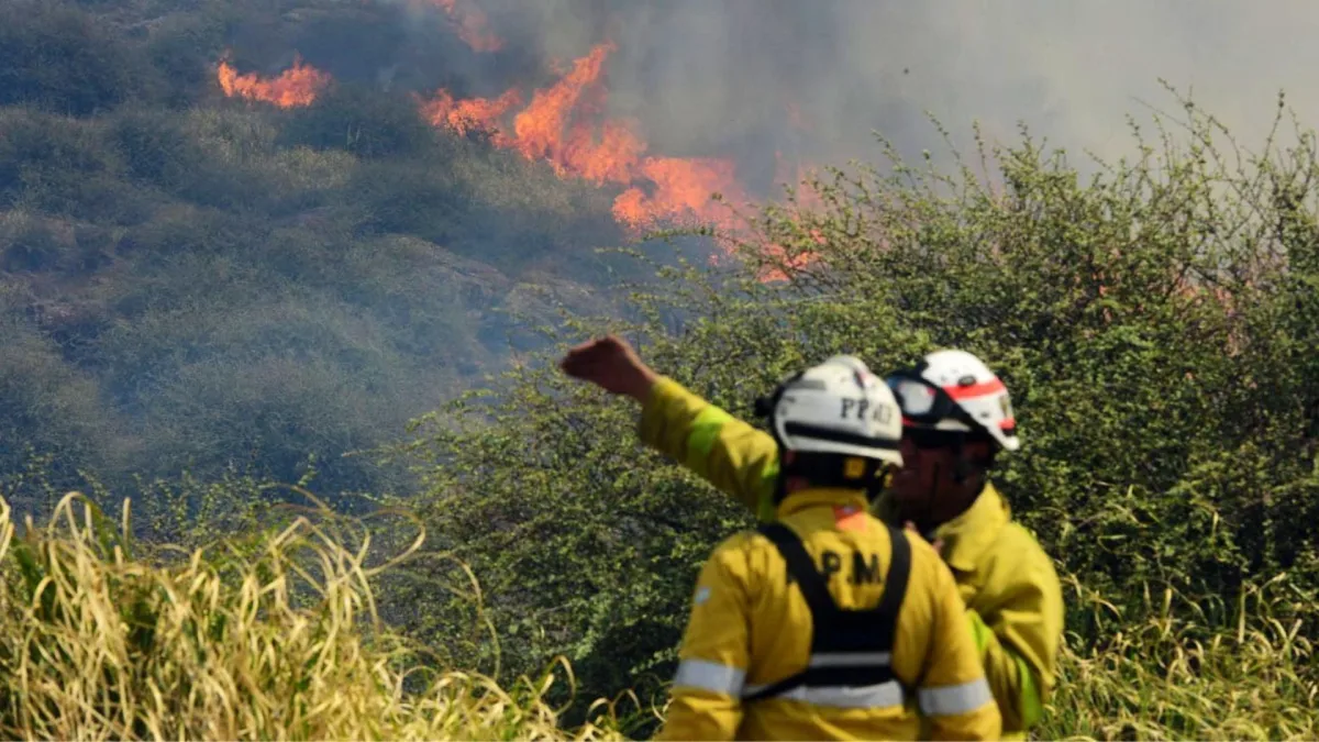 El fuego en Quebrada del Condorito lleva seis días activo