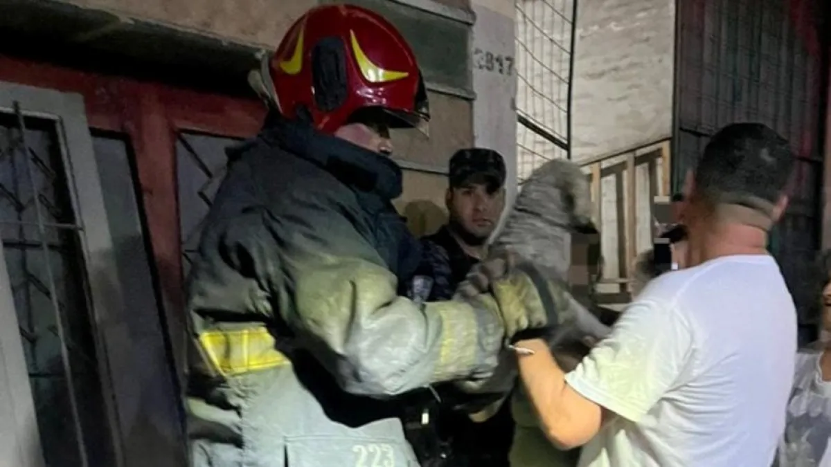 Bomberos rescataron a dos perros durante un incendio en Alta Córdoba