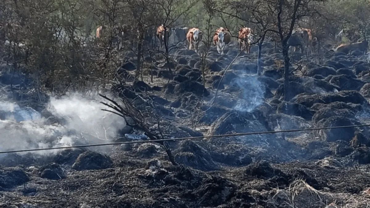 Dos trabajadores rurales arrojaron un cigarrillo y provocaron un incendio en Córdoba