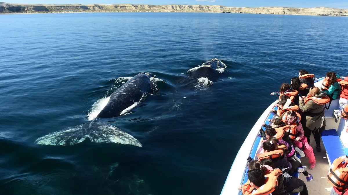 Puerto Madryn impulsa la promoción patagónica en Córdoba bajo la marca: "Patagonia Fantástica"