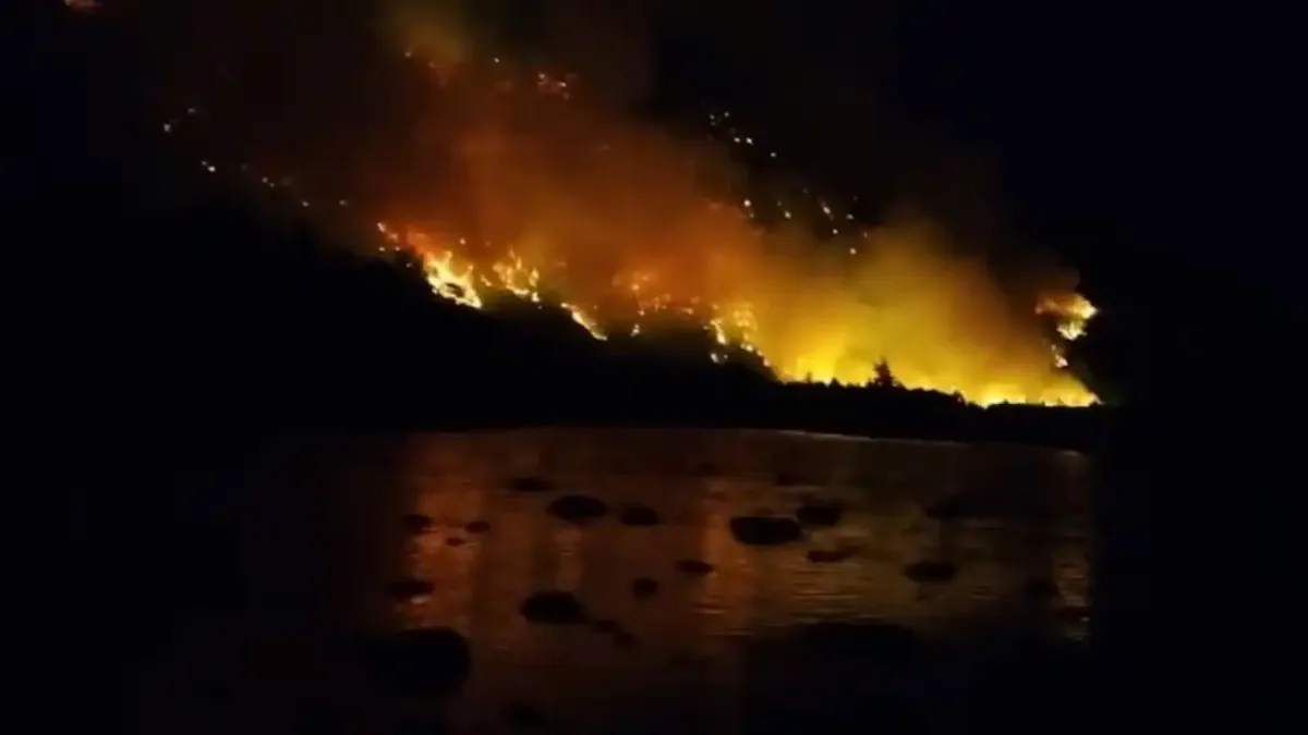Incendio en Chubut: más de 3.000 hectáreas afectadas