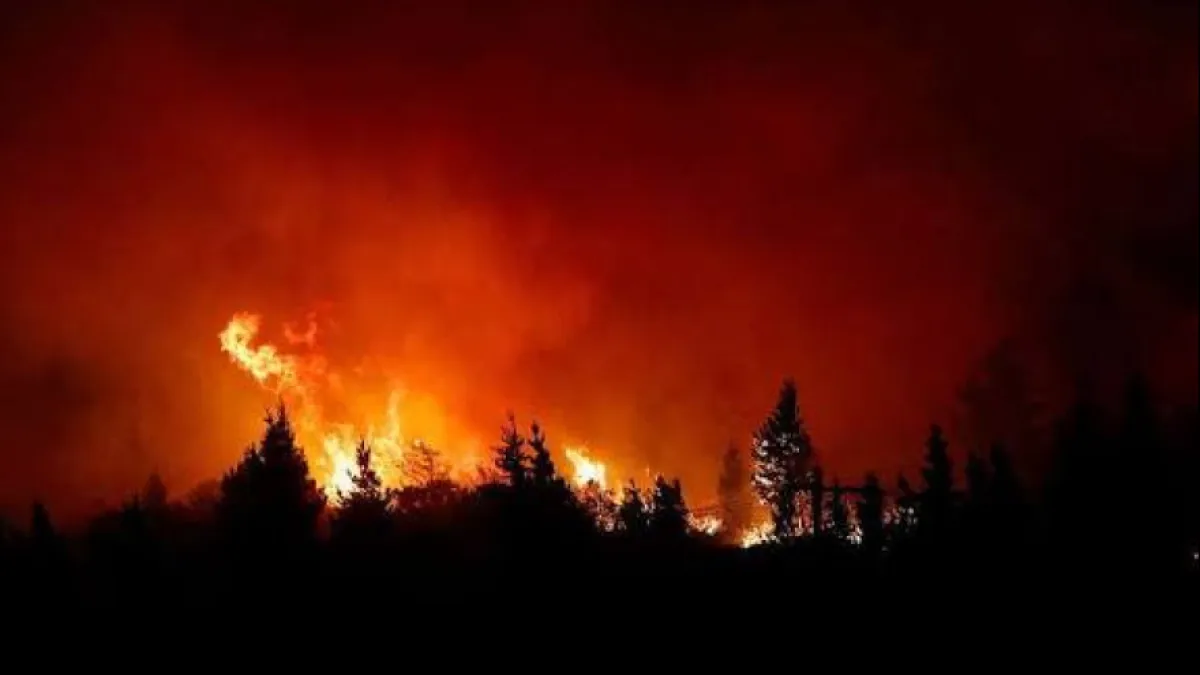 Incendios en Chubut: habilitaron la ruta 40, pero la situación es crítica