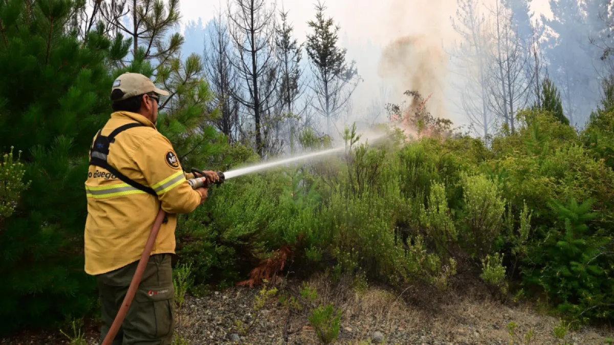Alivio en Chubut: brigadistas lograron contener el fuego en Puerto Patriada
